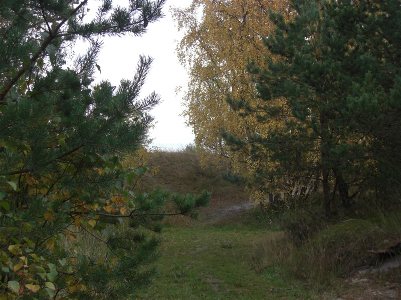 09 oktober 094.jpg