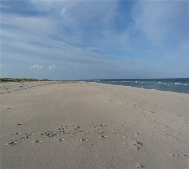 Den vidsträckta stranden vid Sandhammaren.