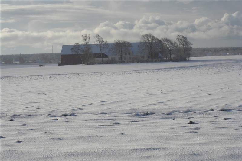 Snövy norrifrån 09.JPG