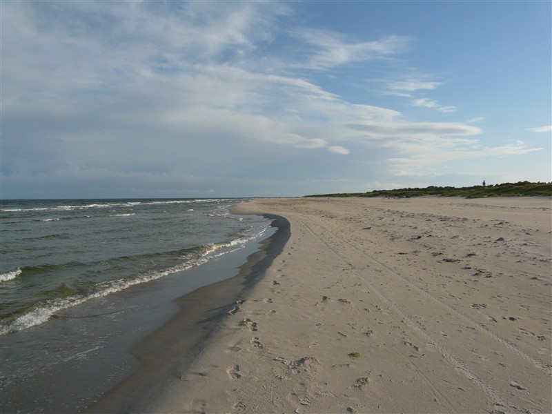 Strandlinje.jpg